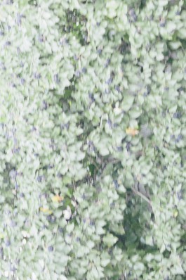 Lea Fleck Photographer Berlin