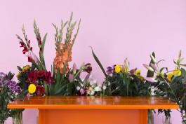 Lea Fleck Photographer Berlin