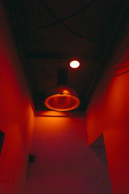 Lea Fleck Photographer Berlin