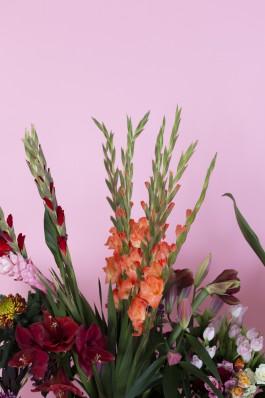 Lea Fleck Photographer Berlin