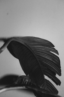 Lea Fleck Photographer Berlin