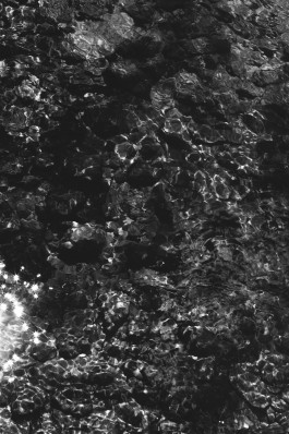 Lea Fleck Photographer Berlin