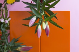 Lea Fleck Photographer Berlin