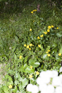 Lea Fleck Photographer Berlin