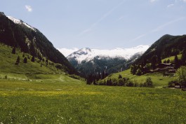 Lea Fleck Photographer Berlin