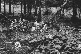 Lea Fleck Photographer Berlin