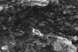 Lea Fleck Photographer Berlin