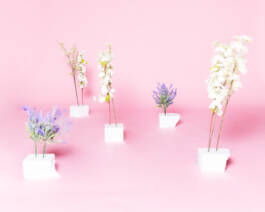 Lea Fleck Photographer Berlin